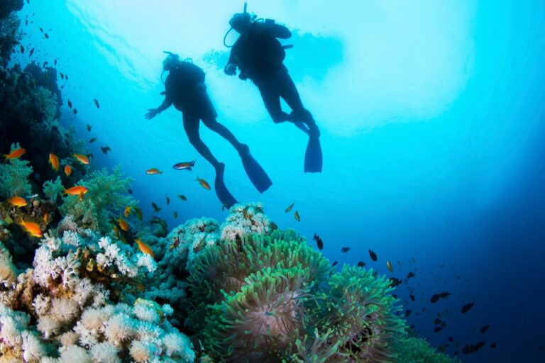 taking a family trip to the Great Barrier Reef