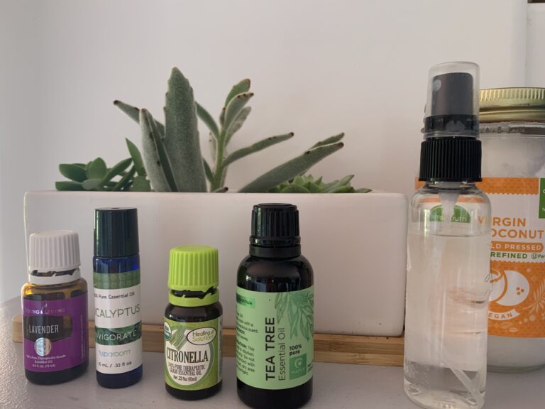 make your own homemade natural bug spray