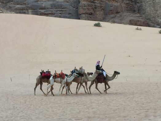 The desert is one of the best vacation spots in Jordan