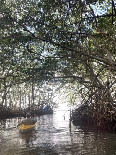 Kayaking in Belize