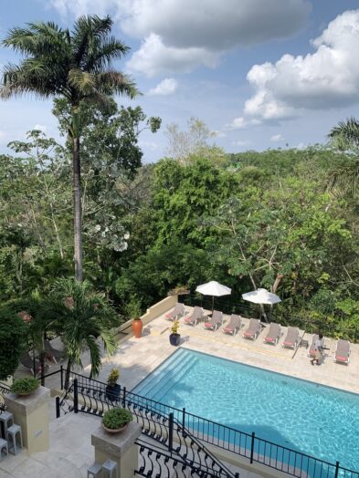 Rainforest in Belize