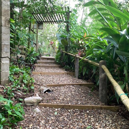 The medicine walk at San Ignacio Resort in Belize