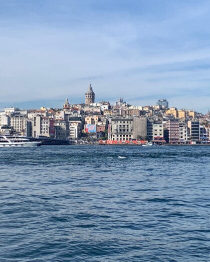 A view of Istanbul from the waterfront
