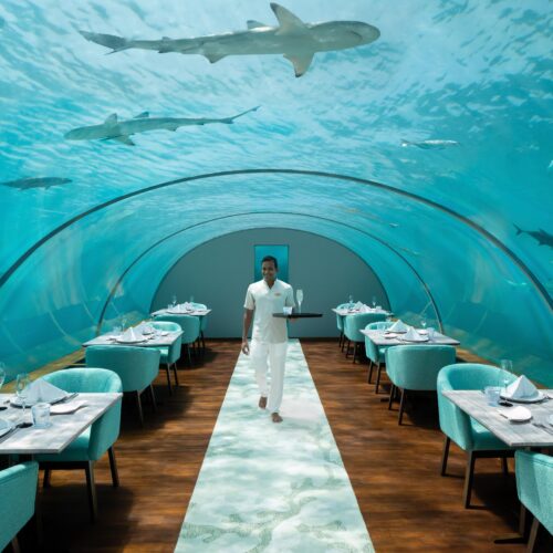 A unique underwater restaurant in the Maldives