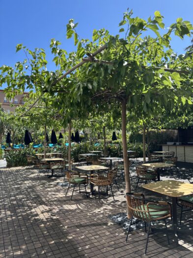 An outdoor seating garden at Grand Hyatt Barcelona