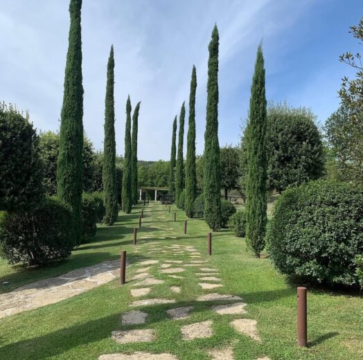 A tree-lined path at the Chiesa del Carmine winery in Umbria.