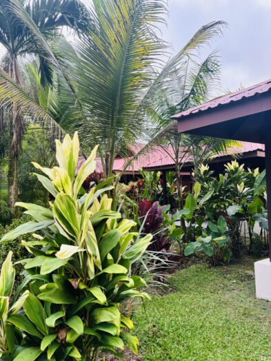 the arenal history inn in la fortuna, costa rica