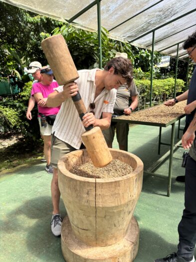 taking a coffee tour in la fortuna