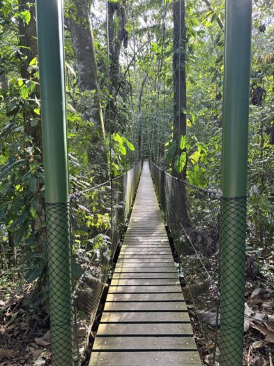 a hanging bridge in la fortuna rainforest