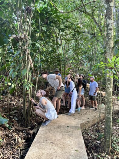 people on a sloth watching tour in la fortuna costa rica