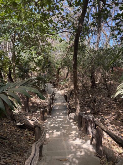 a path to the beach in Playa Langosta Costa Rica