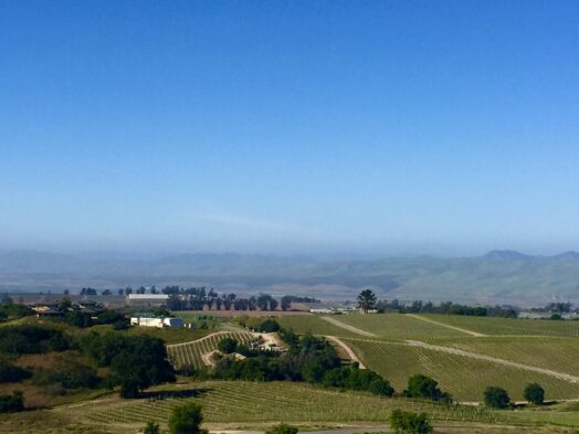 A view of the Santa Maria Valley