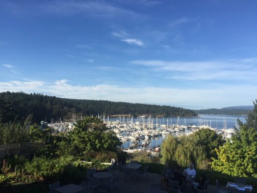 a view out over the San Juan Islands