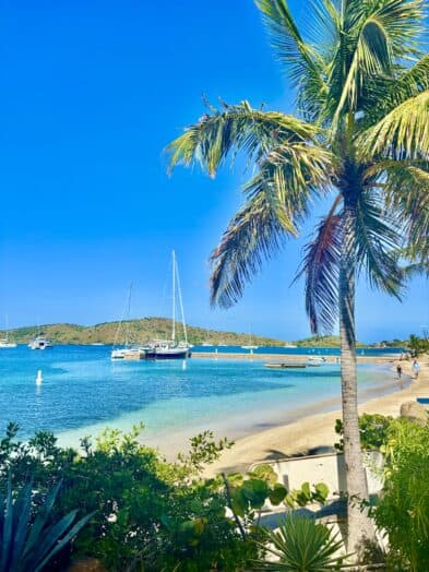 a beach scene from the British Virgin Islands