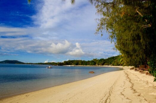 Beach in Florida with clear waters and lush greenery, perfect for foodies and travelers.