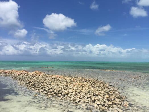 Beautiful Florida beach with turquoise waters, soft sand, and a rocky barrier under a partly cloudy.