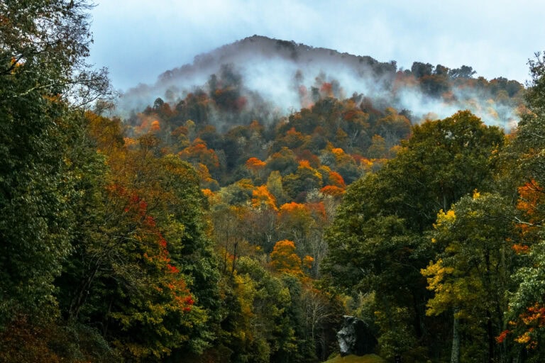 The Best Great Smoky Mountains Travel Guide: Where to Stay, Eat, and Explore in 2026
