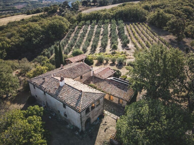 Aerial view of a rustic Tuscan farm with vineyards and olive groves.