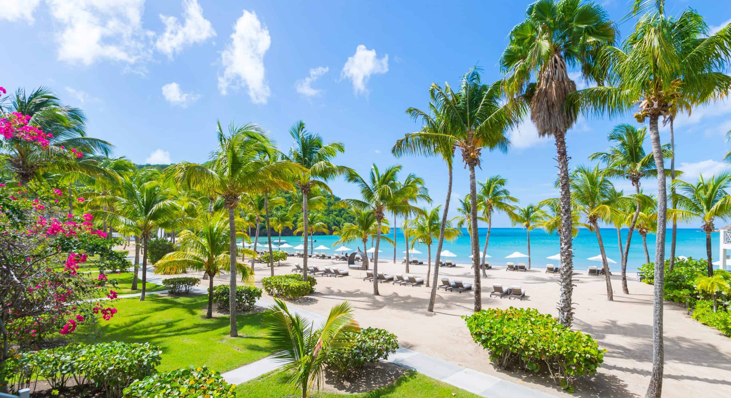 Tropical beach resort featuring palm trees, white sand, and turquoise ocean under a bright blue sky.