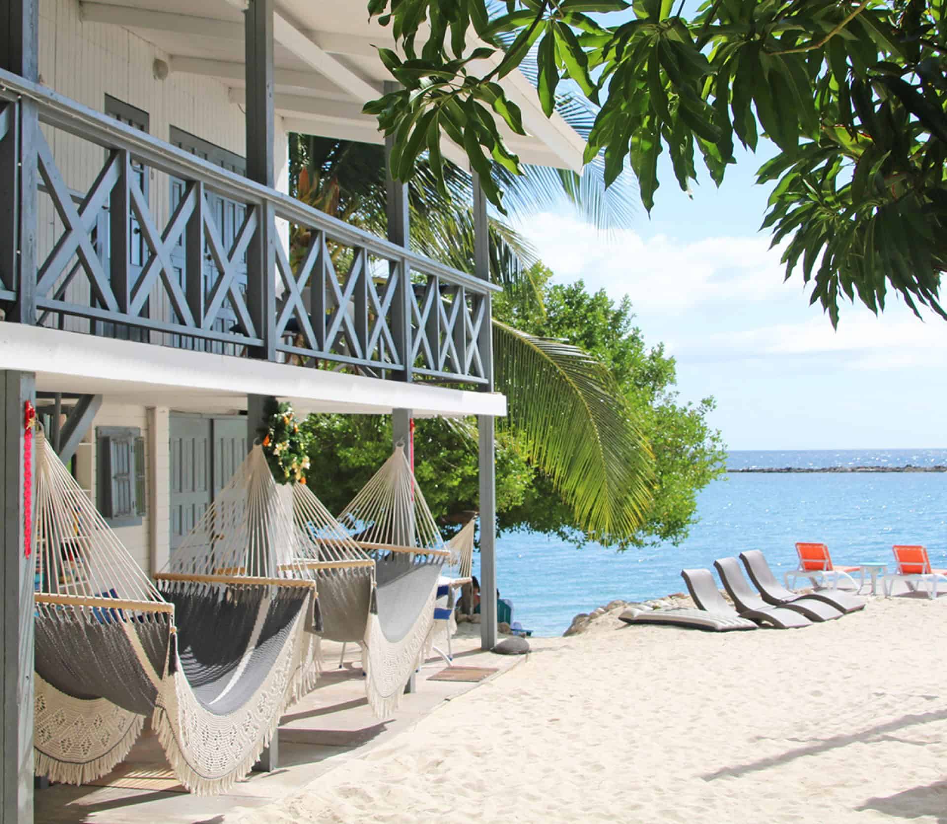 Relaxing beach scene with hammocks, lounge chairs, and lush greenery overlooking the ocean.