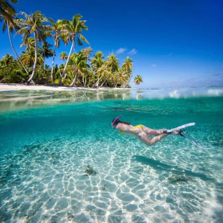 Snorkeler exploring clear turquoise waters near a tropical island with palm trees. Perfect destinati.