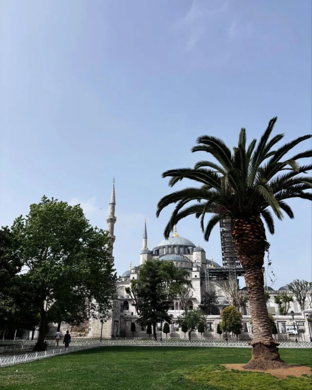 Istanbul Day 2. Beauty shots, sights, and smells. 

Blue Mosque, Spice Market, Arnavutkoy neighborhood, and sore feet. 

@cengizzozturk is the best guide!
@chrisinfla2 @jhelmsfla @candyhelms